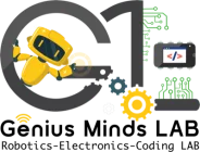 Genius Minds Lab